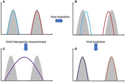 Influenza Virus—Host Co-evolution. A Predator-Prey Relationship?